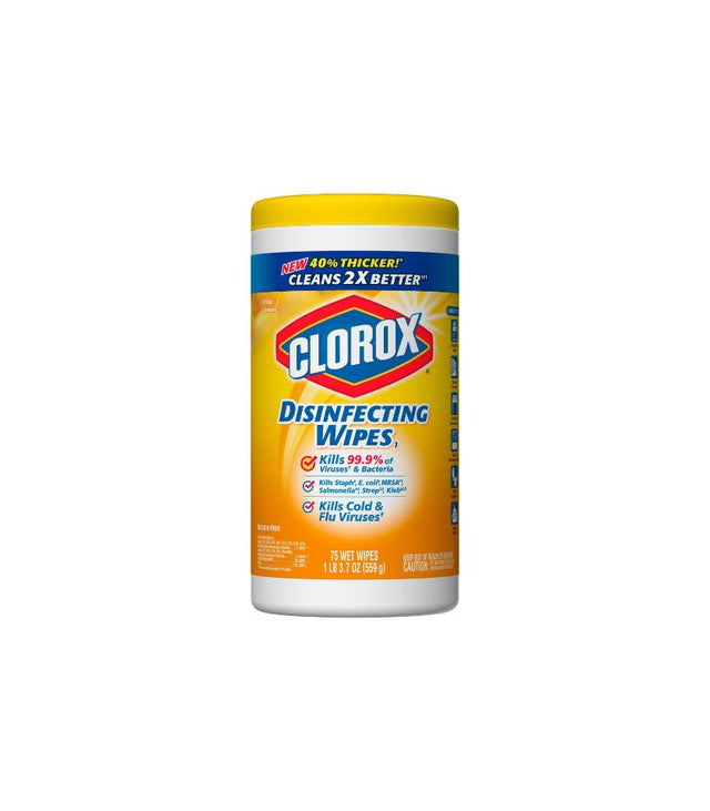 Clorox Wipes - Pink Dot
