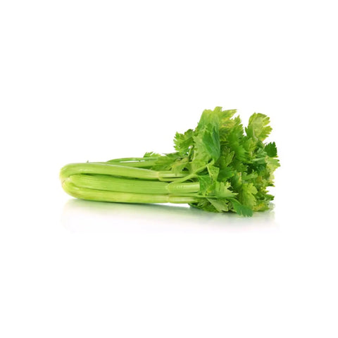  Celery