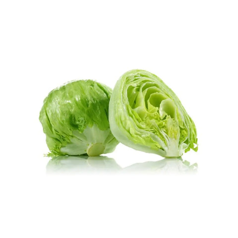  Iceberg Lettuce