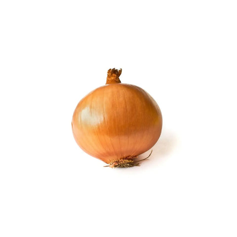 Onion